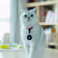 Aqiila TagBird 4-pack Slimme Trackers